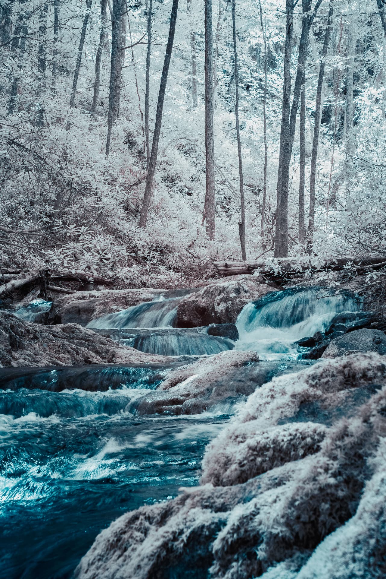 Forest stream cascading over mossy rocks in the Appalachians — pale silvery 665nm infrared foliage, dark teal pools and a fallen log across the water, shot on a Nikon D750
