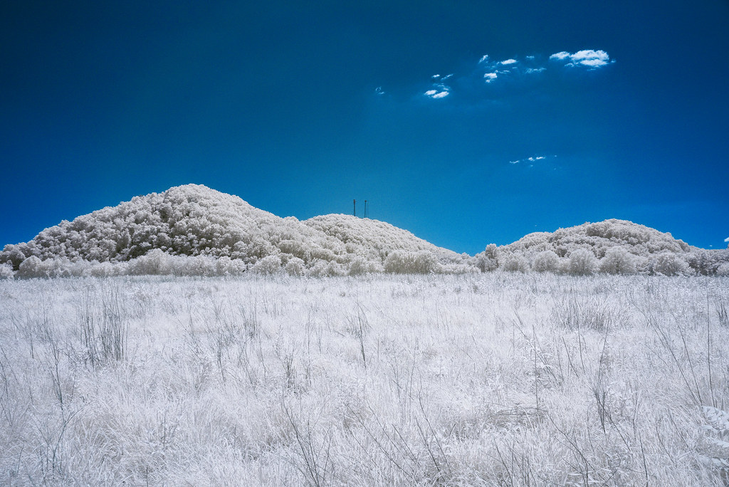 Infrared field in harsh daylight