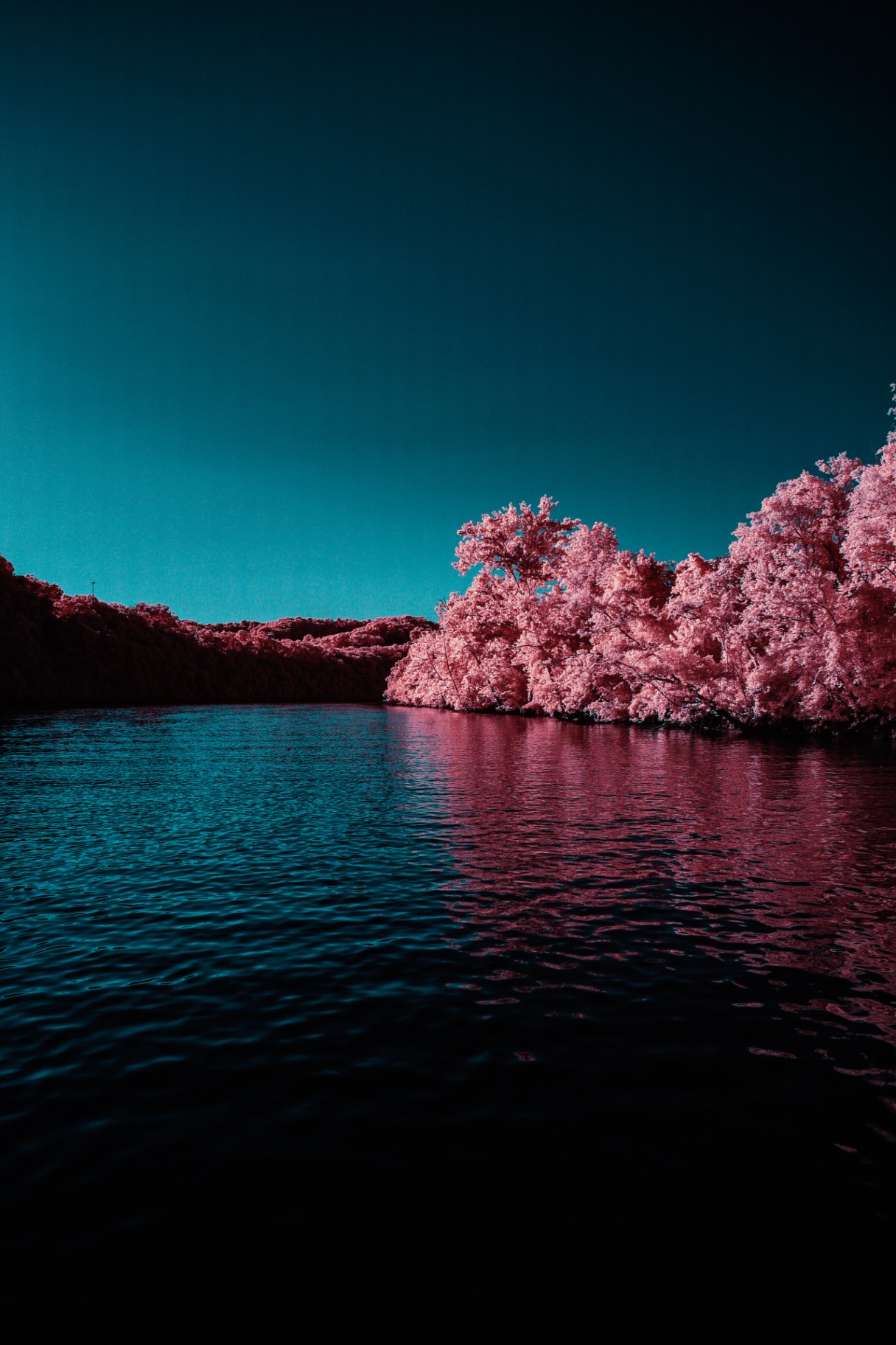Infrared cove with pink foliage and teal water