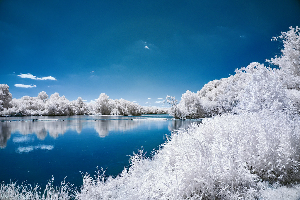 Infrared lake in harsh daylight