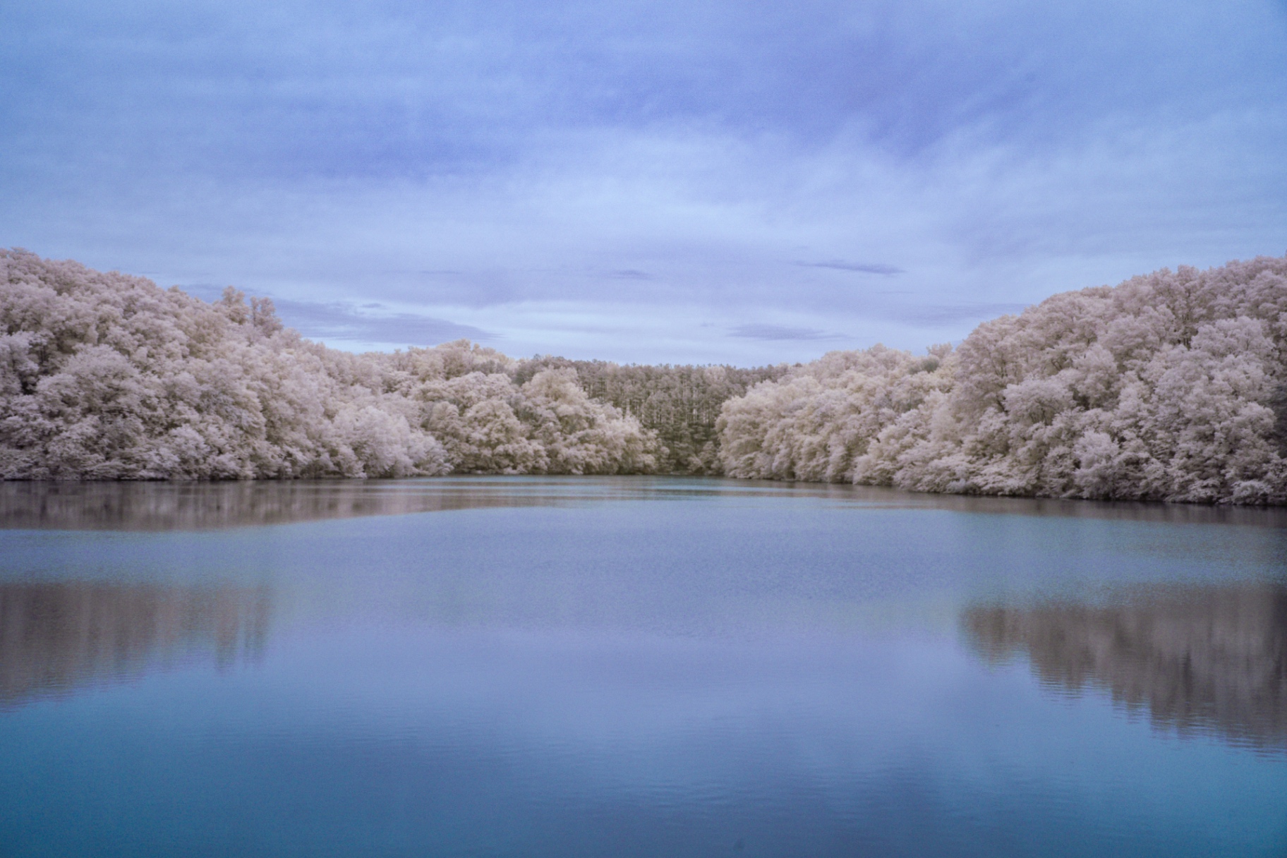 Infrared lake lined with white foliage under a pale blue sky