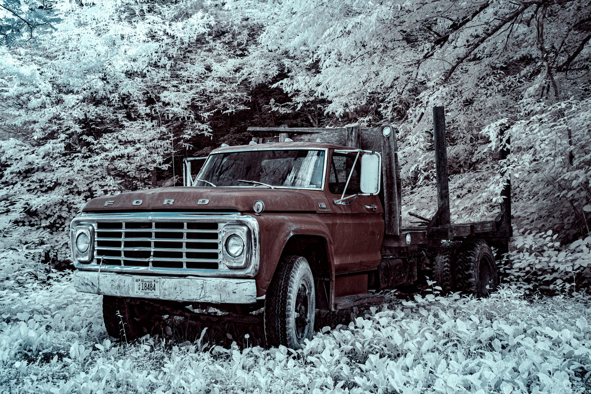 Abandoned rust-red Ford F-600 logging truck with a Tennessee plate, swallowed by snow-white 665nm infrared foliage in the Appalachians — shot on a Nikon D750