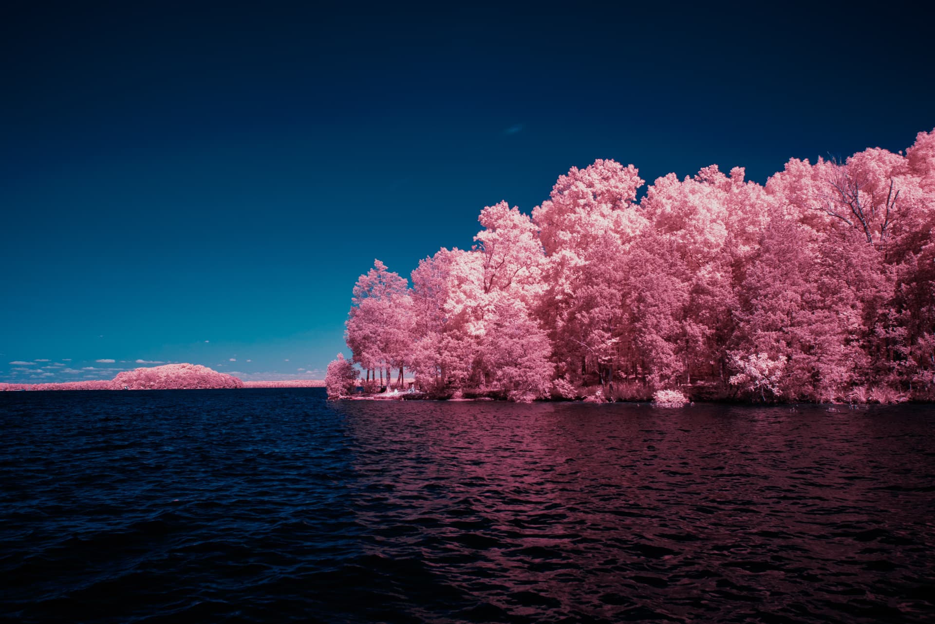 Cumberland River with deep blue water and a vivid pink infrared tree line under open sky — Nikon D750, 665nm, 18-70mm DX
