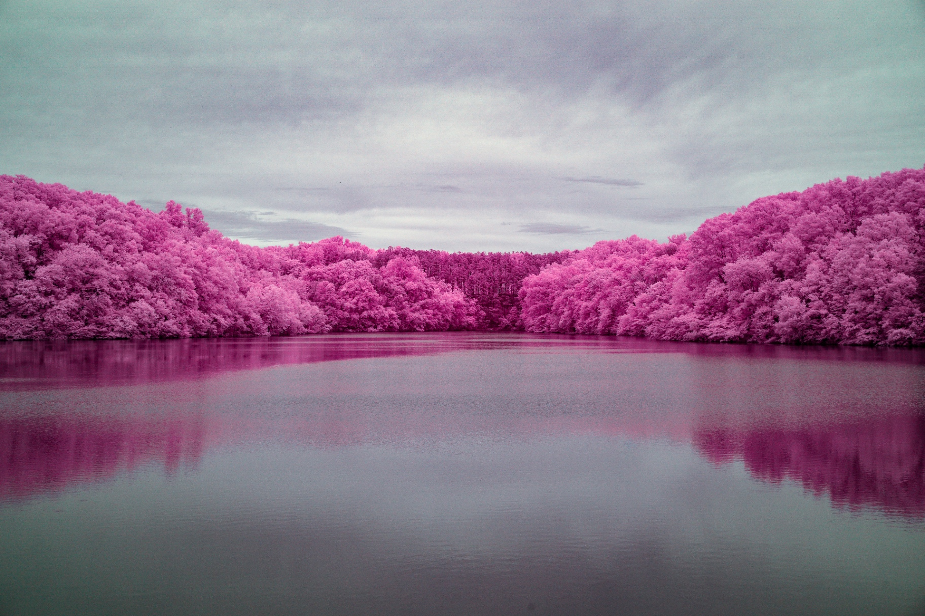 Monsanto Chemical Ponds in Maury County, Tennessee, rendered in 665nm infrared