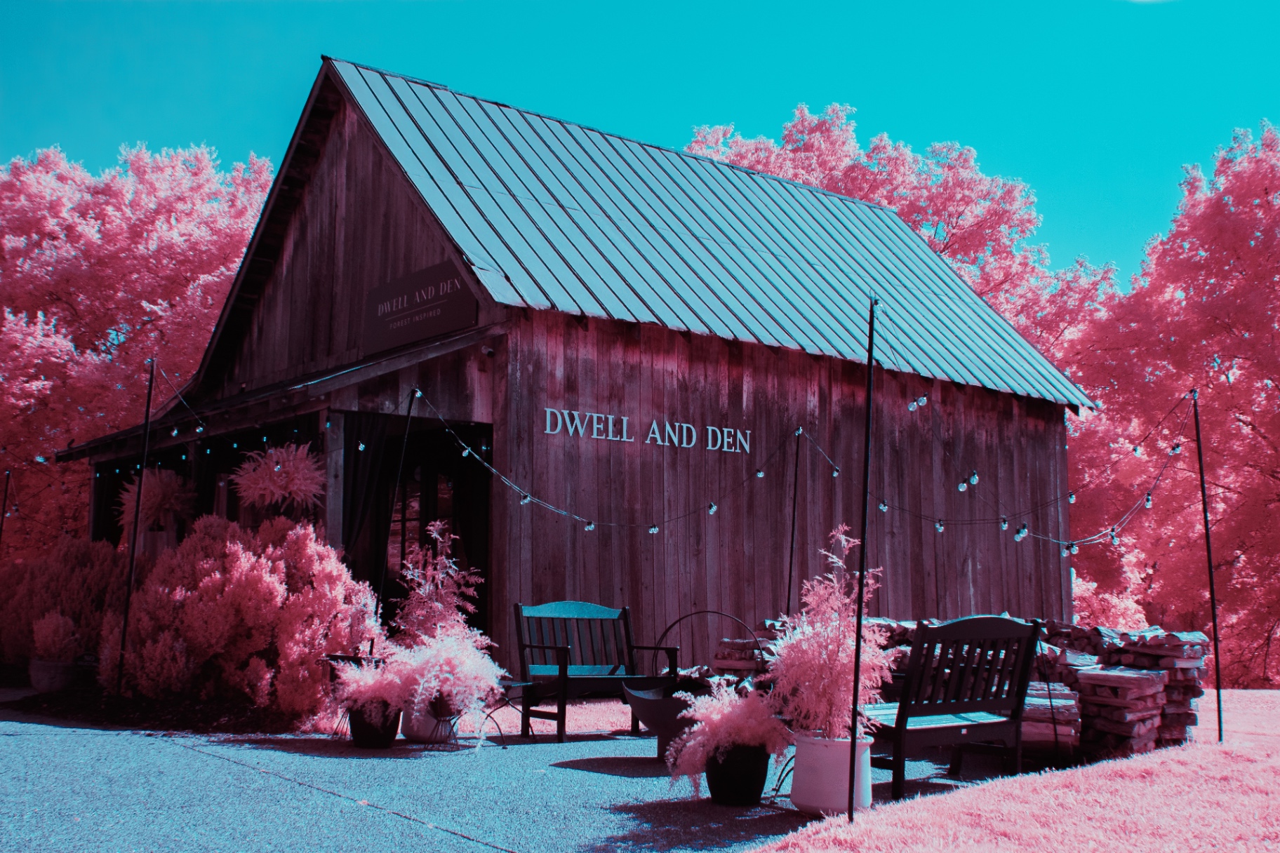 Dwell and Den barn framed by pink infrared trees
