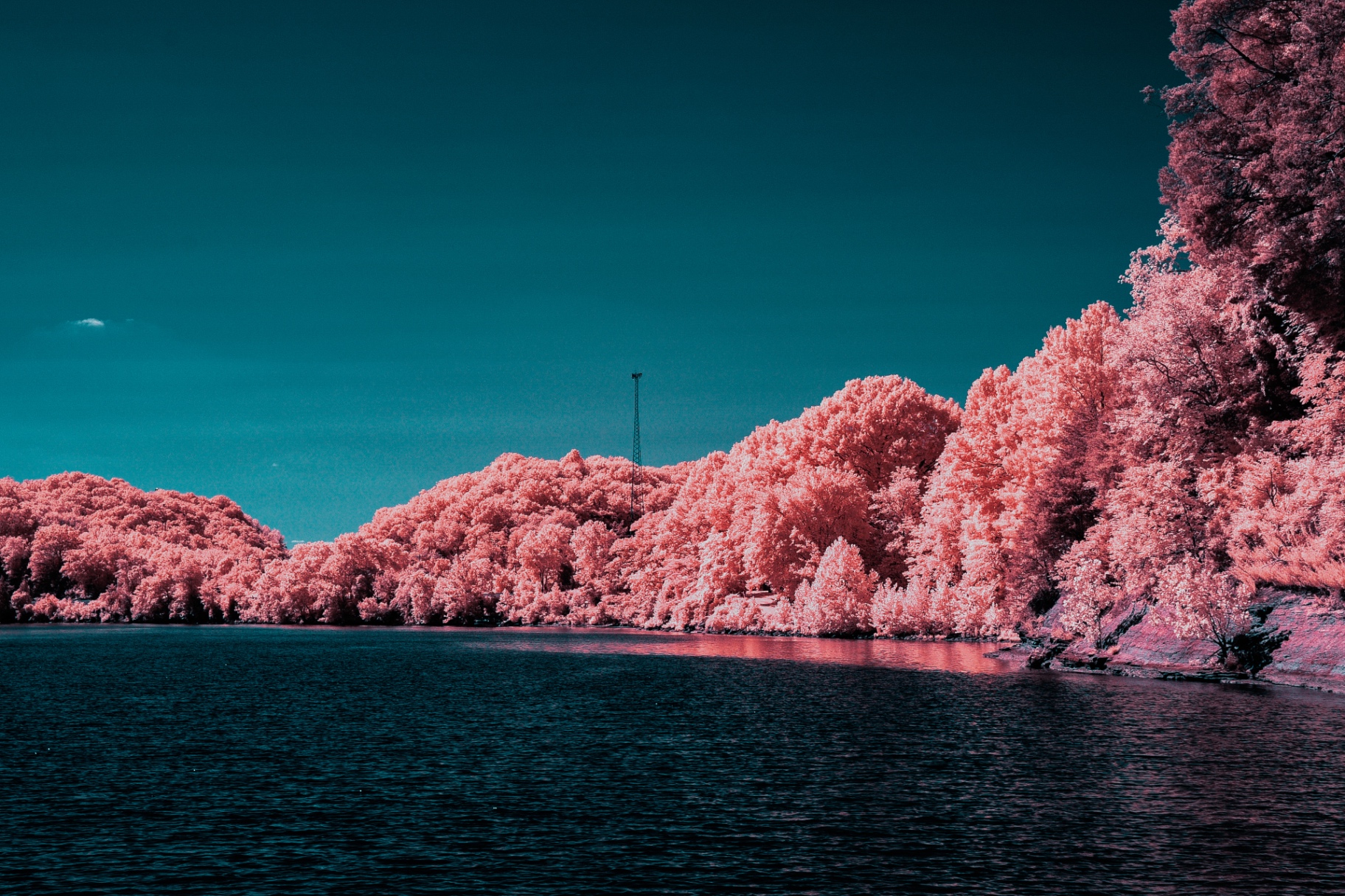 Coral infrared forest above a deep teal lake