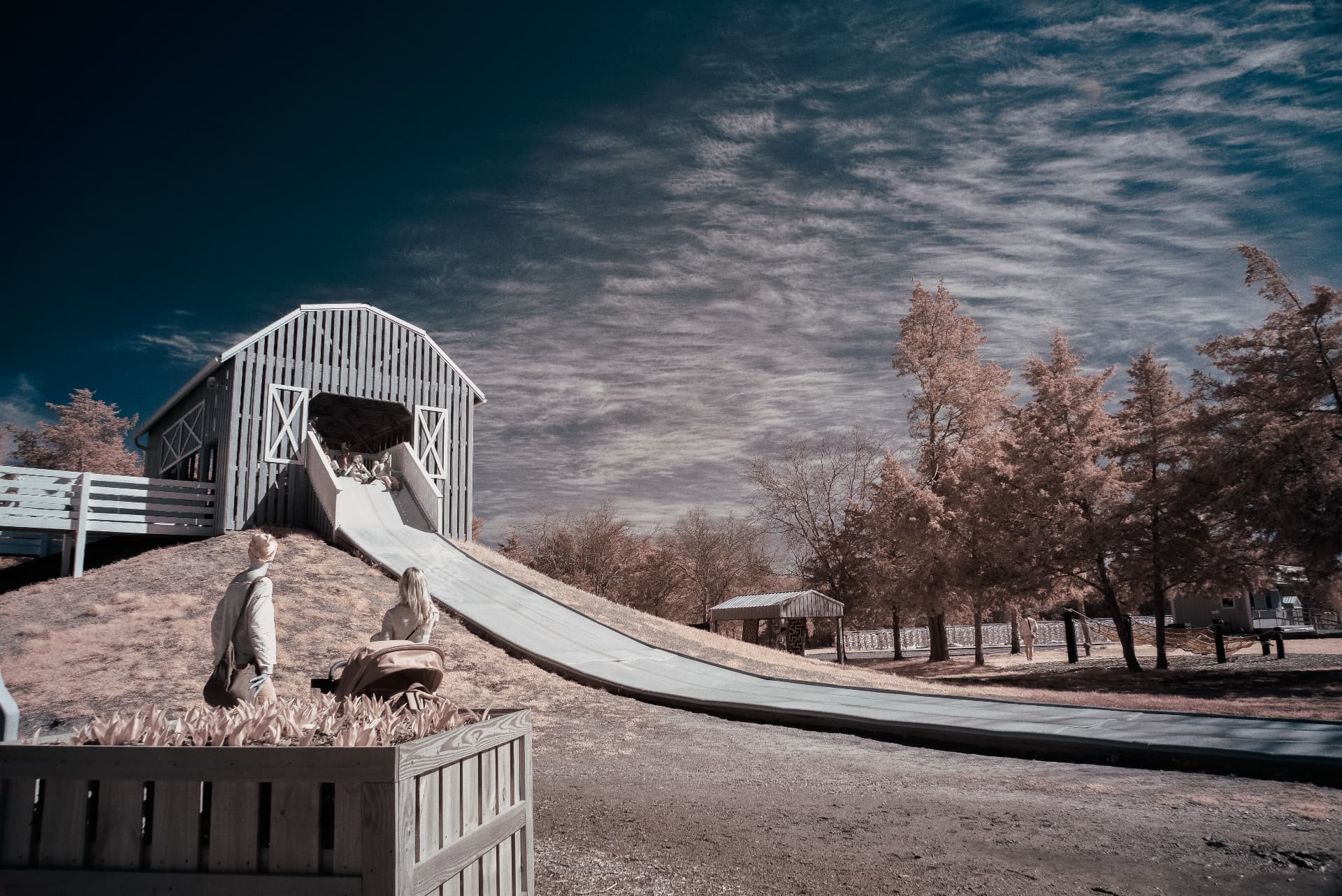 Lucky Ladd Farms in Tennessee under a deep teal 720nm infrared sky — a long slide pouring out of a hilltop barn, peach and pale pink trees, families gathered on the grass below
