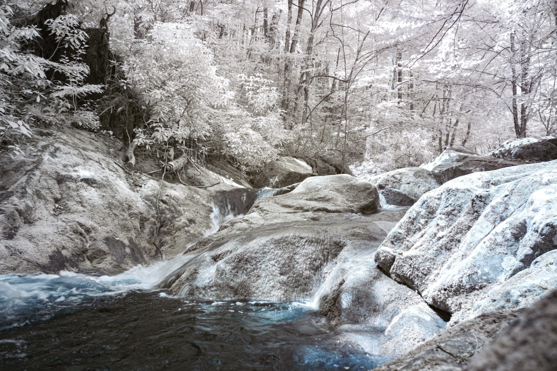 Infrared creek tumbling over boulders in a white-leafed forest